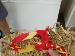 -全国青少年井冈山革命传统教育基地