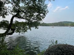 -浙江西子宾馆·瑶园咖啡厅