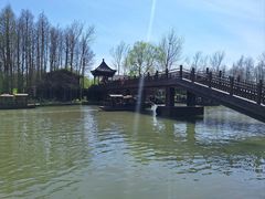 -溱湖国家湿地公园