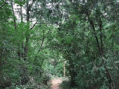 -北京鹫峰国家森林公园