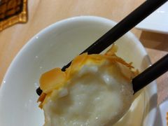 西杏炸鲜奶-陶陶居海鲜酒家(新马路店)
