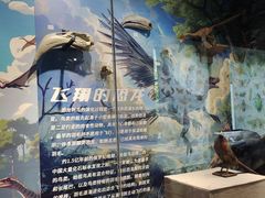 -淮安市博物馆
