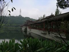 -重庆彩云湖湿地公园