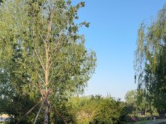 -太阳宫公园