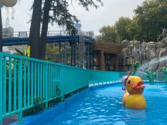 -武汉市青少年宫水上世界