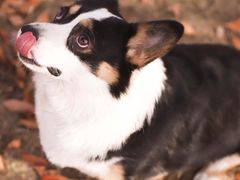 -济南国际园博园