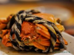 -菊上料理(蜀山银泰百货店)