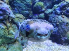 -郑州海洋馆