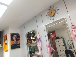 -东方美妍小鹏造型