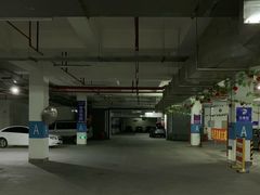 -泊安飞浦东物流大道停车场