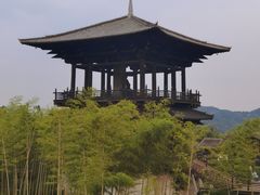 -大唐贡茶院