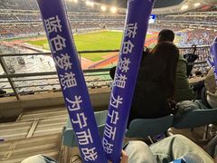 -南京奥林匹克体育中心-体育馆