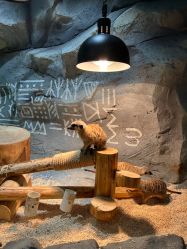 -Zoolung Zoolung动物主题公园(海信广场店)