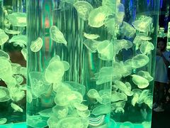 -成都浩海立方海洋公园