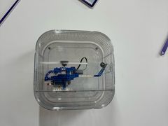 -新东方学习规划(南二环第一校区)