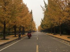 -西北农林科技大学(北校区)