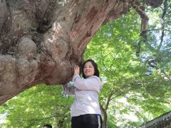 -崂山仰口游览区