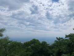-阳台山自然风景区
