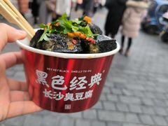 -黑色经典臭豆腐·长沙鲜食商店(坡子街店)