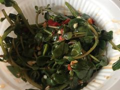 马齿苋-清泉食杂店