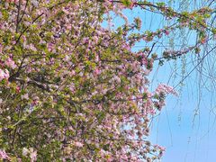 -元大都城垣遗址公园