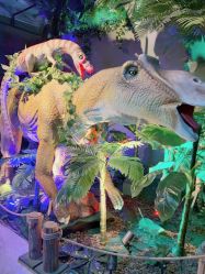 点击看大图 -恐龙探索乐园(磁器口店)