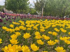 -长春公园(普阳街道)