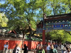 -北京国子监胡同