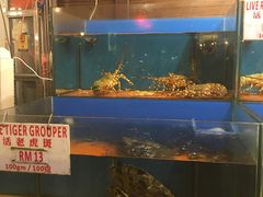 -真浪花园海鲜餐馆