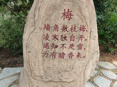 -白鹭洲公园