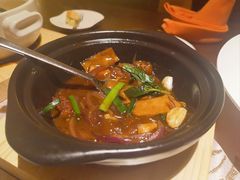 -采悦轩中餐厅·粤菜·海南菜(神州半岛喜来登度假酒店)