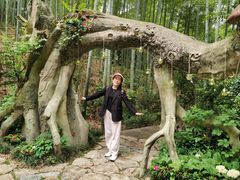 -天目湖山水园