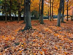 -白塘生态植物园