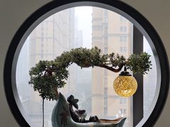 -淮扬韵(市政府汉神店)