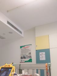 -上海交通大学医学院附属上海儿童医学中心(陆家嘴总院区)