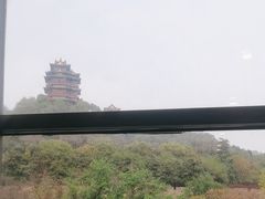 -七欣天香辣蟹火锅(南京建宁路大观天地店)