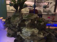 -佬麻雀·新湘菜(珠海金发购物中心店)