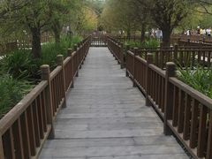 -五缘湾湿地公园