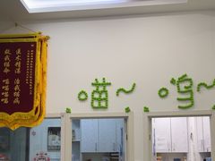 -纳吉亚猫专科动物医院·北北分院