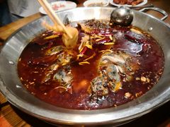 -红牌美蛙鱼头火锅(万辉国际广场店)