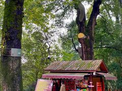 -岳麓山风景名胜区