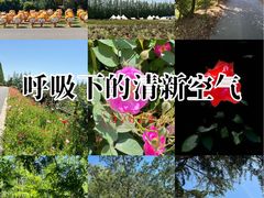 -上海长兴岛郊野公园