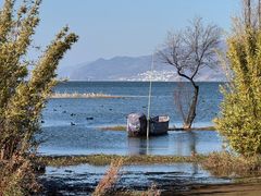 -洱海月湿地公园