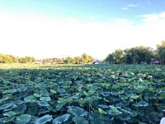 -长春市南湖公园