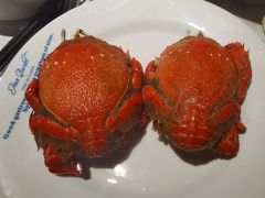 海蟹-星伦多自助料理·涮烤一体(虹悦城店)