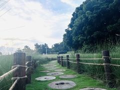 -红花山公园