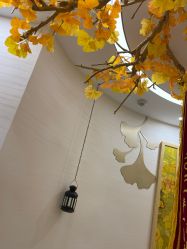 点击看大图 -芳朵美容养生SPA
