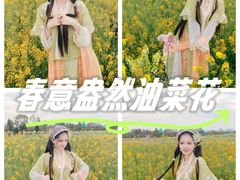 -三圣花乡旅游区