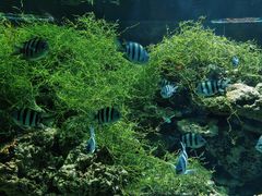 -海合安天津极地海洋公园