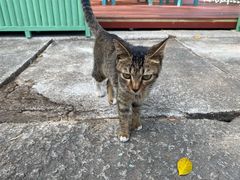 -梅溪牌坊
